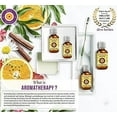 thumbnail image 5 of Deve Herbes Pure Bergamot Essential Oil (Citrus bergamia) with Glass Dropper Natural Therapeutic Grade Steam Distilled 15ml (0.50 oz), 5 of 9