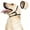 Beige, variant on Dog Ear Muffs, Noise Cancelling Dog Headphones with Soft Neoprene, Calming Ear Protection for Dogs for Anxiety Relief, Swimming, Grooming, Thunder, Fireworks