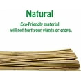thumbnail image 2 of Natural Bamboo Stakes 4 Feet, Eco-Friendly Garden Stakes, Plant Stakes Supports Climbing for Tomatoes, Trees, Beans, 25 Pack, 2 of 7
