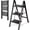 Black, variant on 3-Step Folding Ladder, Heavy Duty Ladders for Home & Kitchen, Folding Ladder Easy to Store, Tall Ladder for Adults, Anti-Slip & Space-Saving Step Ladder, 330 Lbs Capacity