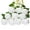 H, variant on Realistic Long Stem Silk Rose Artificial Flowers,Champagne Faux Roses Bouquet for Wedding Home Birthday Decoration (Red),B,1PC