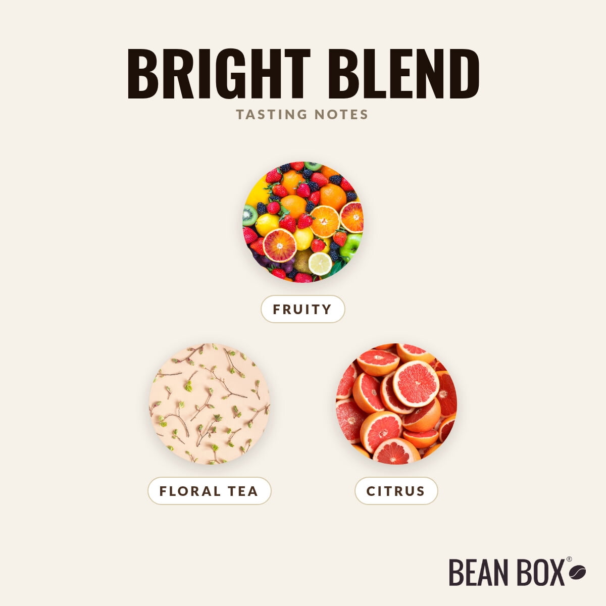 Bright Blend - Roasted by Kuma Coffee - Whole Bean Coffee - 12oz Bag