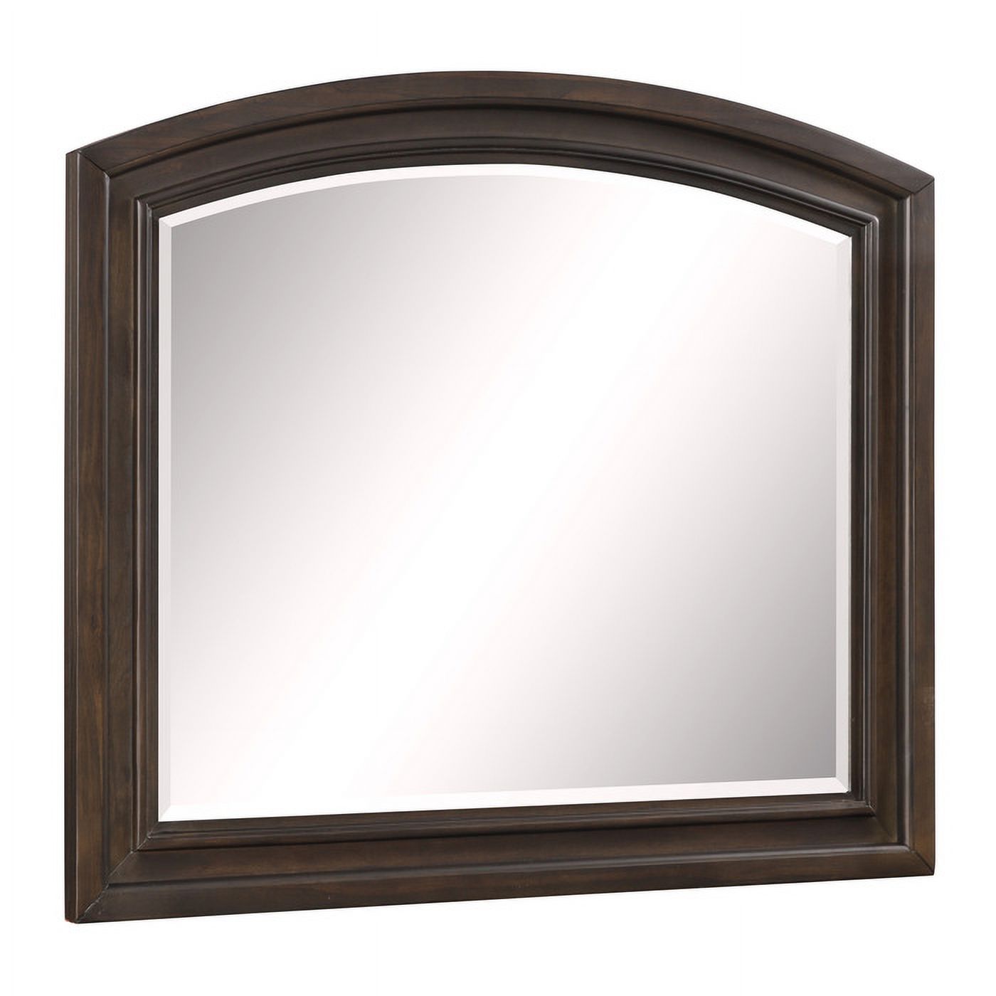 Begonia Collection Casual Transitional Styling with Grayish Brown Finish