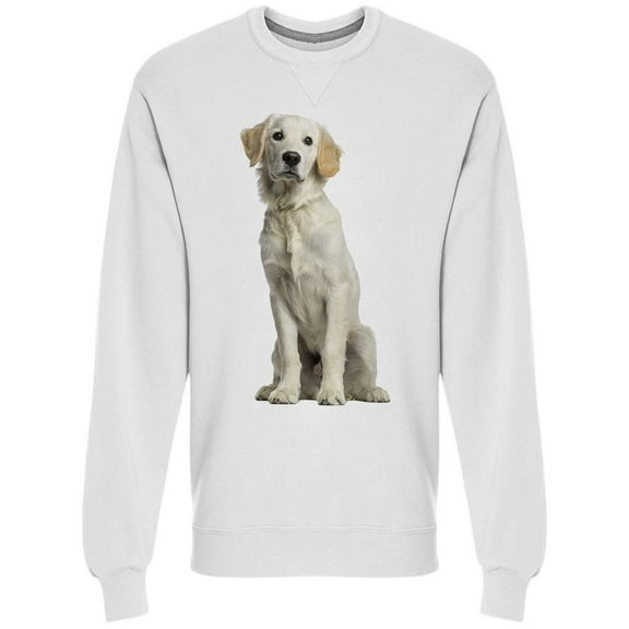 Golden Retriever Sitting Sweatshirt Men -Image by Shutterstock, Male 3X-Large