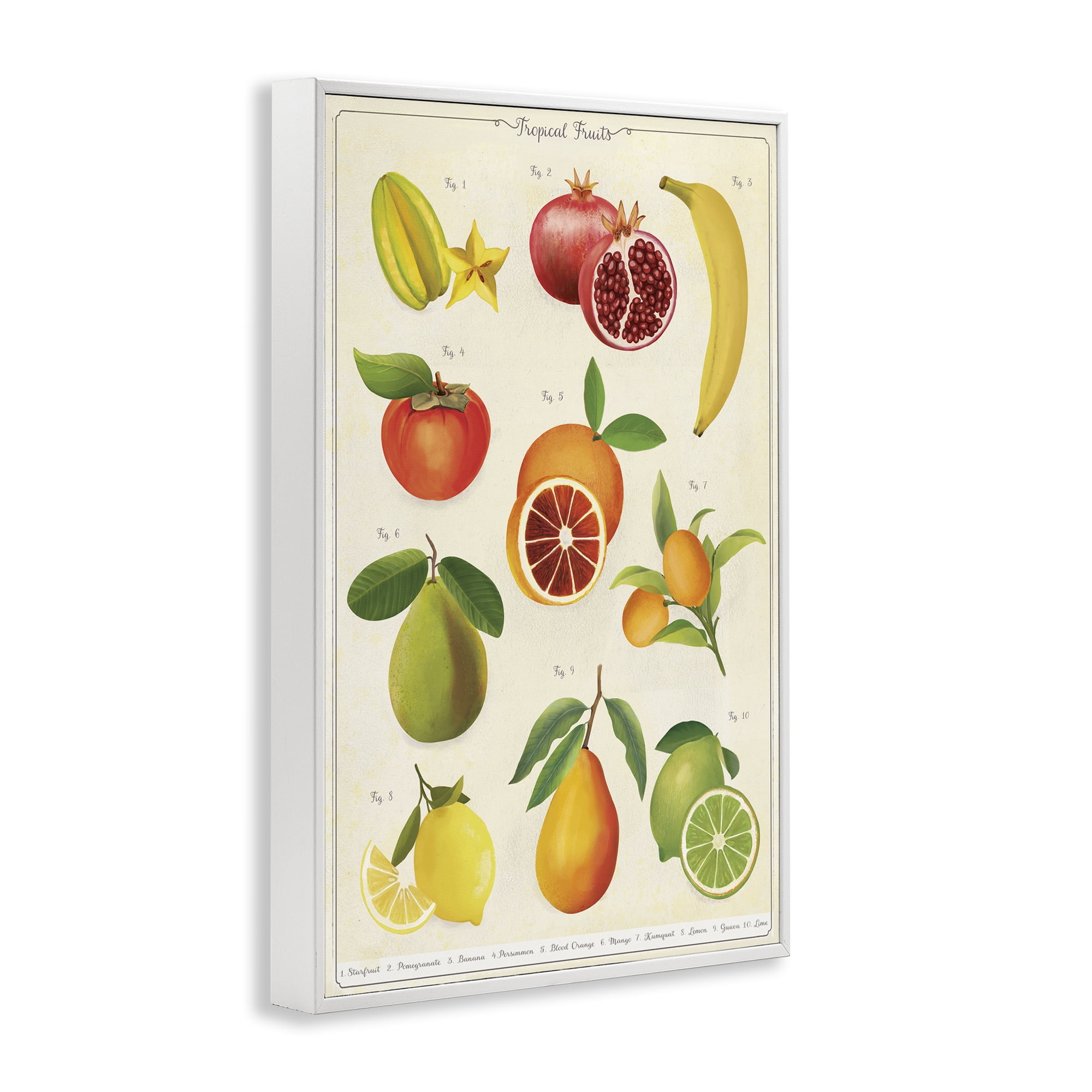 Stupell Industries Vintage Tropical Fruit Studies White Framed Giclee Art, design by Diane Neukirch