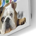 thumbnail image 3 of Epic Art 'English Bulldog and Birds' by Fab Funky Acrylic Glass Wall Art, 36"x36", 3 of 3