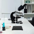 thumbnail image 4 of LOLIPPYY Rack De Vidrio Y Metal Para Laboratorio Con Soporte Firme Para Matraces Y De Precipitados, 4 of 8