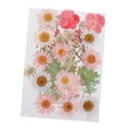 thumbnail image 2 of Flores secas orgánicas naturales mixtas, decoraciones de bricolaje con flores prensadas, flores C, 2 of 9