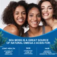 thumbnail image 4 of ZHPHK Seaweed Capsules High Strength Thyroid Body Supplement Potassium and Iodine 120 Capsules, 4 of 7
