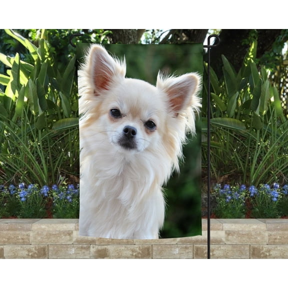 Chihuahua Garden Flag