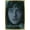 Gold Framed Version, variant on Game of Thrones - Bran Stark Wall Poster, 22.375" x 34"