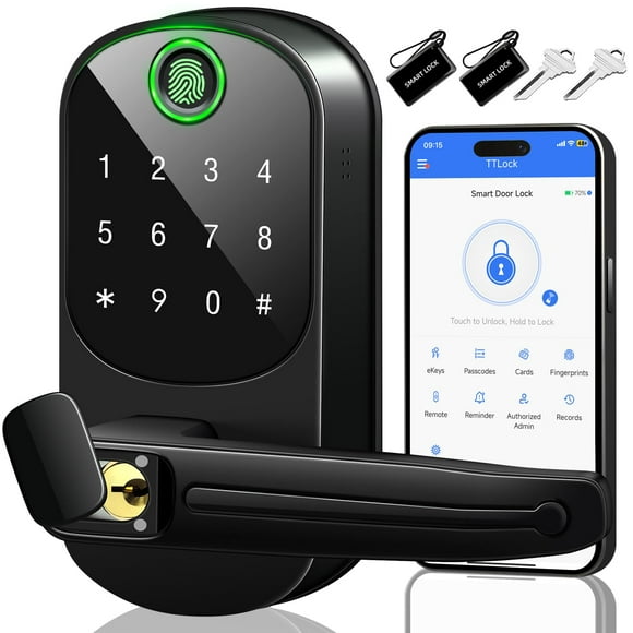 Cerradura de puerta inteligente EASY MSR de entrada sin llave con huella digital negra