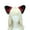 Black red, variant on Cartoon Cosplay Kitten Ear Hair Clip Hairpin Furry Kitten Hair Styling for Live Show Hair Clip Furry Cats