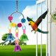 thumbnail image 2 of Juego De 10 Uds. De Juguetes Para Morder De Loro, Campana Colgante Colorida, Cuentas De Puente, Juguetes De Cuerda Para Masticar Para Loros, Periquitos, Cacatúas, Guacamayos, Pinzones sonducket PT000934-00, 2 of 6