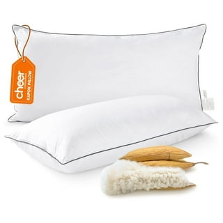 King sham pillow insert sales