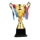 thumbnail image 3 of Premio Trofeo Premios Trofeo Copa Premio Regalos de agradecimiento para evento Competencia 30 centimetros, 3 of 9