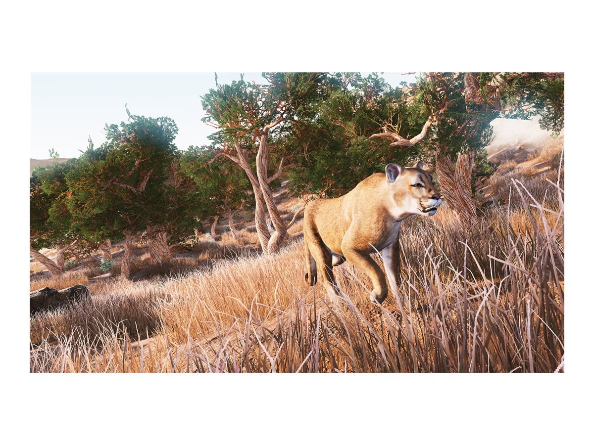  Hunting Simulator 2 (PS5) - PlayStation 5 : Maximum Games LLC:  Everything Else