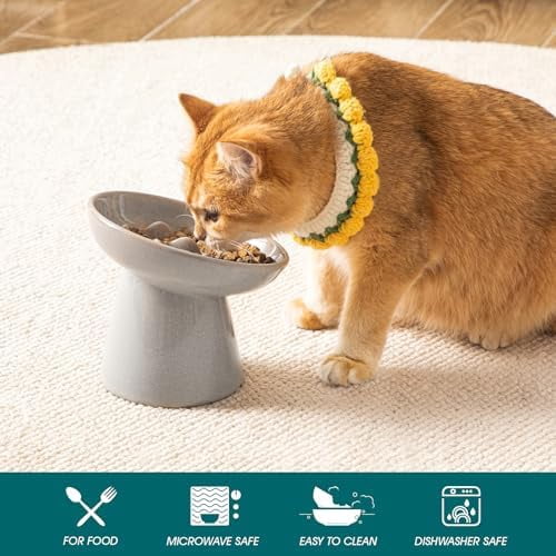 Ceramic Slow Feeder Cat Bowl, 6.25 Inch Elevated Cat Slow Feeder Bowl, Anti Vomiting for Dry and Wet Food, Grey