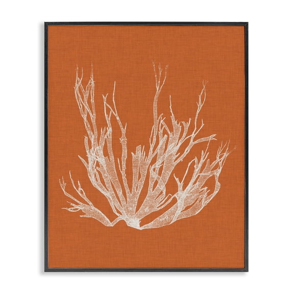 Stupell Industries Eclectic Coral Seaweed Orange White Beach Design Black Framed Giclee Art, 24 x 30, by Vision Studio