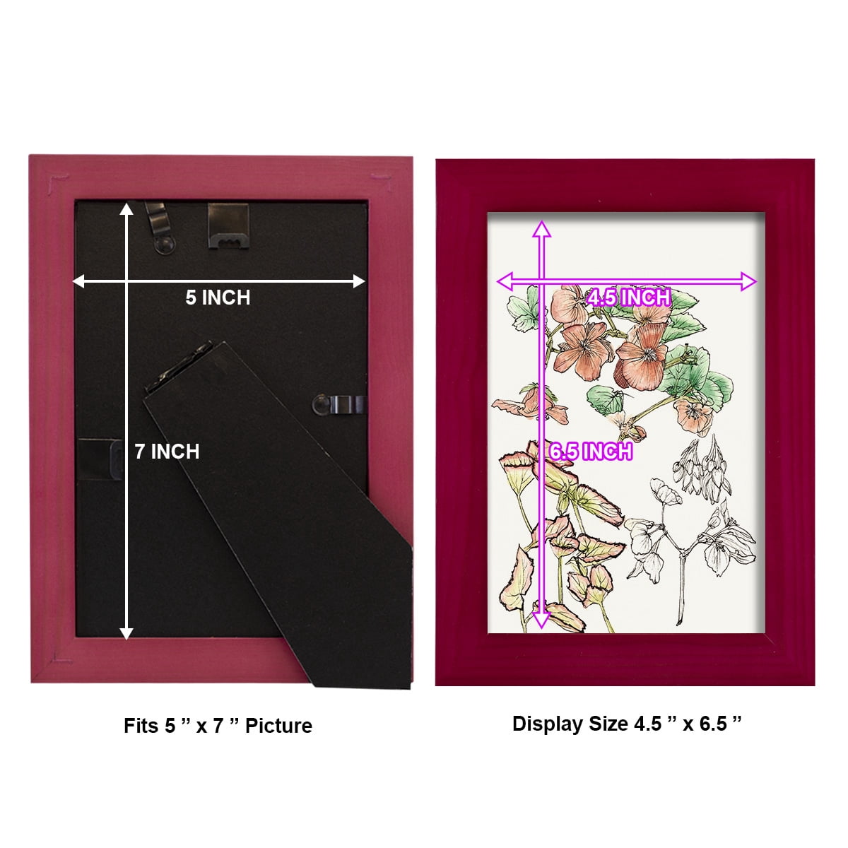 Begonia Study -Framed Print w/glass-Cherry Red