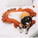 thumbnail image 3 of Alfombrillas para perros con personajes de diseño Touchdog 'Critter Hugz', 3 of 6