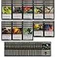 thumbnail image 3 of Mono Black Infect Deck - Modern Legal - Custom Built - Magic The Gathering - MTG - 60 Card, 3 of 3
