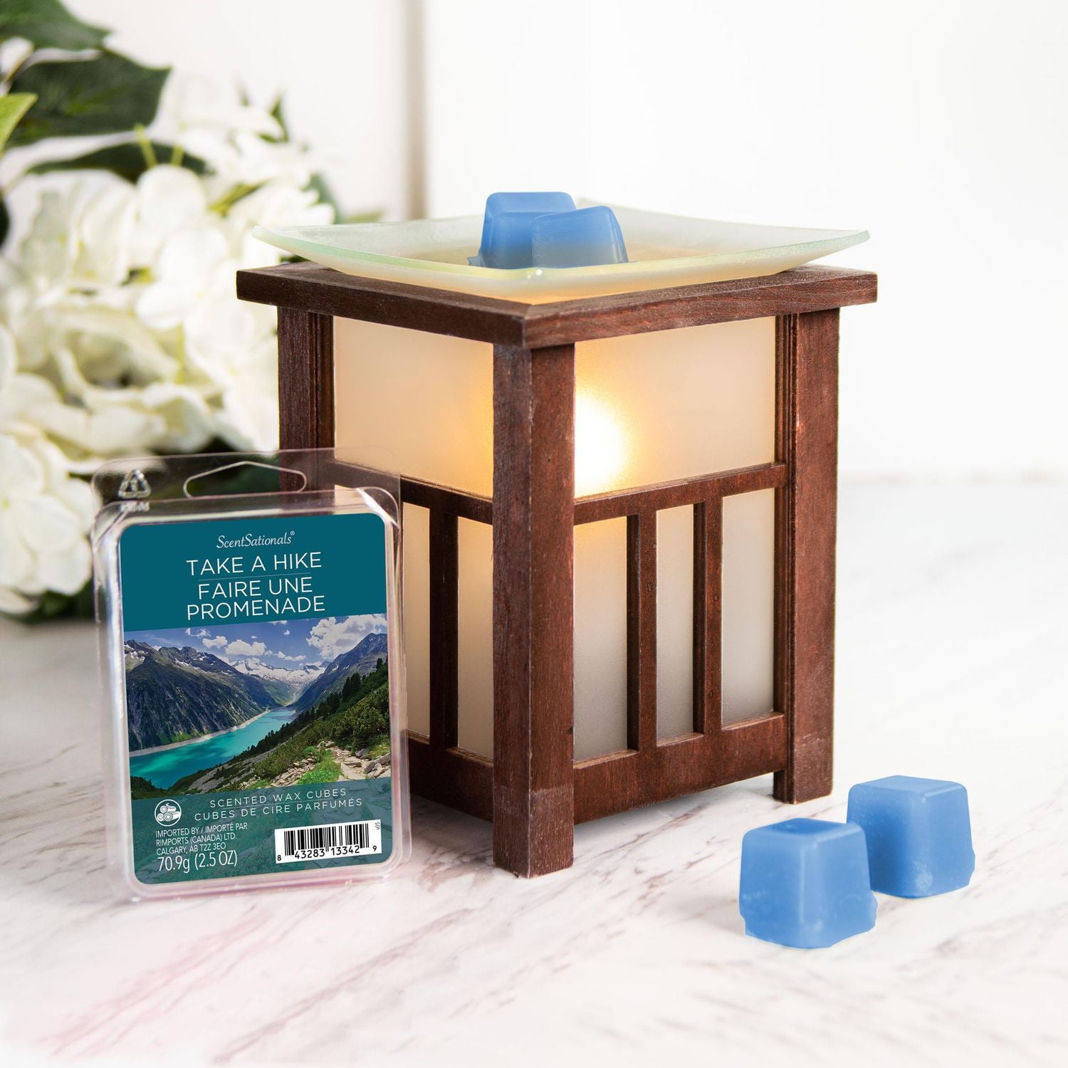ScentSationals Scented Wax Cubes - Take a Hike, 2.5 oz (70.9 g)