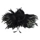 thumbnail image 1 of Chal de plumas para hombros, estola tipo capa, Poncho para niñas, elegante capa de plumas, chal de plumas para fiesta de carnaval, Cosplay Yuyangstore capa de chal de mujer, 1 of 8