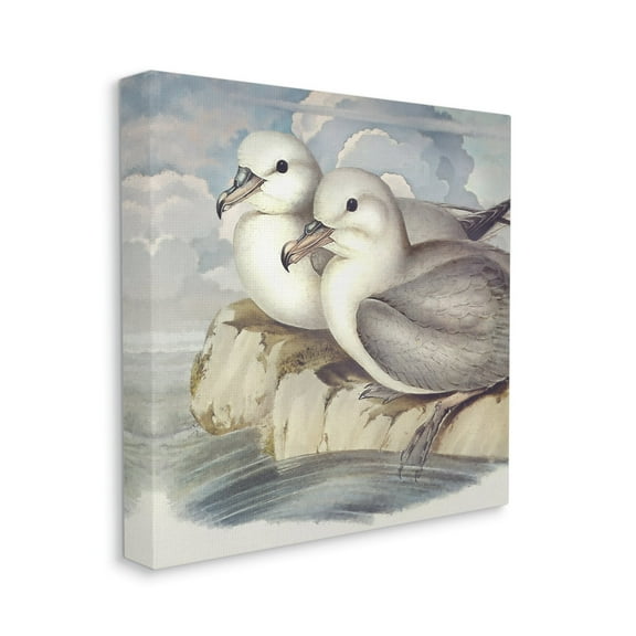 Seagull Couple Perched Coastal Water Resting Birds Animals & Insects Gallery-Wrapped Canvas Print Wall Art, 17x17