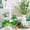 C, variant on 2pcs St. Patrick’s Day Featherly Friends Birds - Table Decor and Figurines, St. Patrick’s Day Decorations, Farmhouse Style Bird Figurines for Indoor Display, Holiday Home Accents