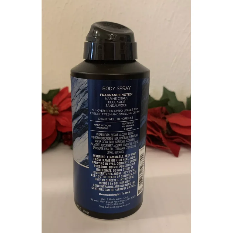 Bath & Body Works Clean Slate Men's Body Spray, 3.7 oz