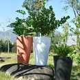 thumbnail image 4 of Maceta hidropónica extragrande redonda y espesada, maceta creativa sencilla, maceta grande de plástico verde para plantas, maceta para jardinería, 4 of 5