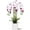White and Purple 3 Stems, variant on Women Summer Sleeveless Solid Color Round Neck Strap Vest T-shirts Tops