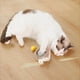 thumbnail image 2 of Juguete interactivo Advancent Pelota inteligente para gatos verde, 2 of 6