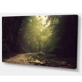 thumbnail image 2 of Wild Way into the Dark Forest - Impression sur Toile Forest, 2 of 3