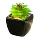 thumbnail image 5 of Bonsái artificial en maceta de cerámica verde Toystoory decoración para el hogar, 5 of 6