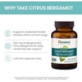 thumbnail image 4 of Himalaya Citrus Bergamot, Herbal Supplement for Daily Wellness, Vegan, Gluten Free, 500 mg Bergamonte® Extract, 60 Capsules, 4 of 6