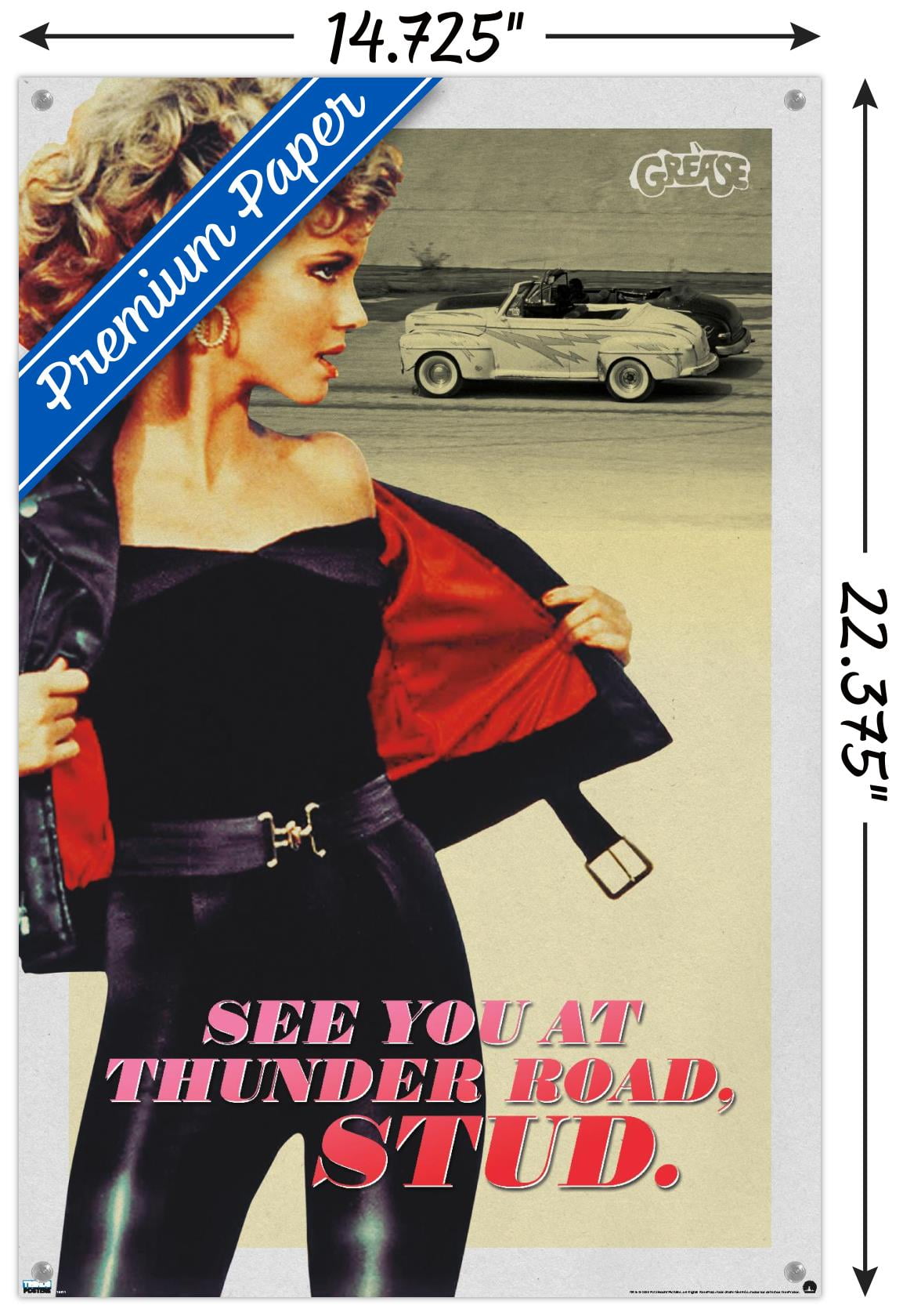 Grease - Stud Wall Poster with Push Pins, 14.725" x 22.375"