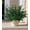 Green, variant on Faux Outdoor Plants Artificial Plants for Outdoors, 6 Bundles Artificial Greenery Plastic UV Resistant Fake Plants for Planters Porch Patio Garden Autumn Home Decor