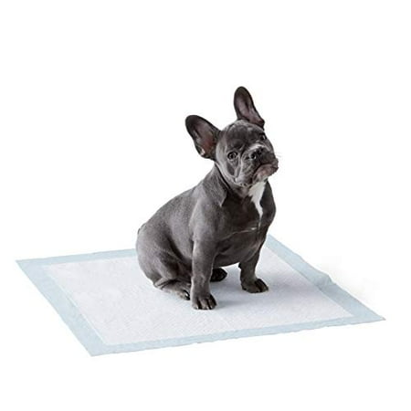 Amazon Basics Dog and Puppy Pee Pads with Leak-Proof Quick-Dry Design for Potty Training, Standard Absorbency, Regular Size, 22 x 22 Inches - Pack of 50 (B00MW8G3YU)