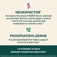 thumbnail image 4 of Suplemento NEURIVA Plus Brain Memory Focus 30 cápsulas, 4 of 5