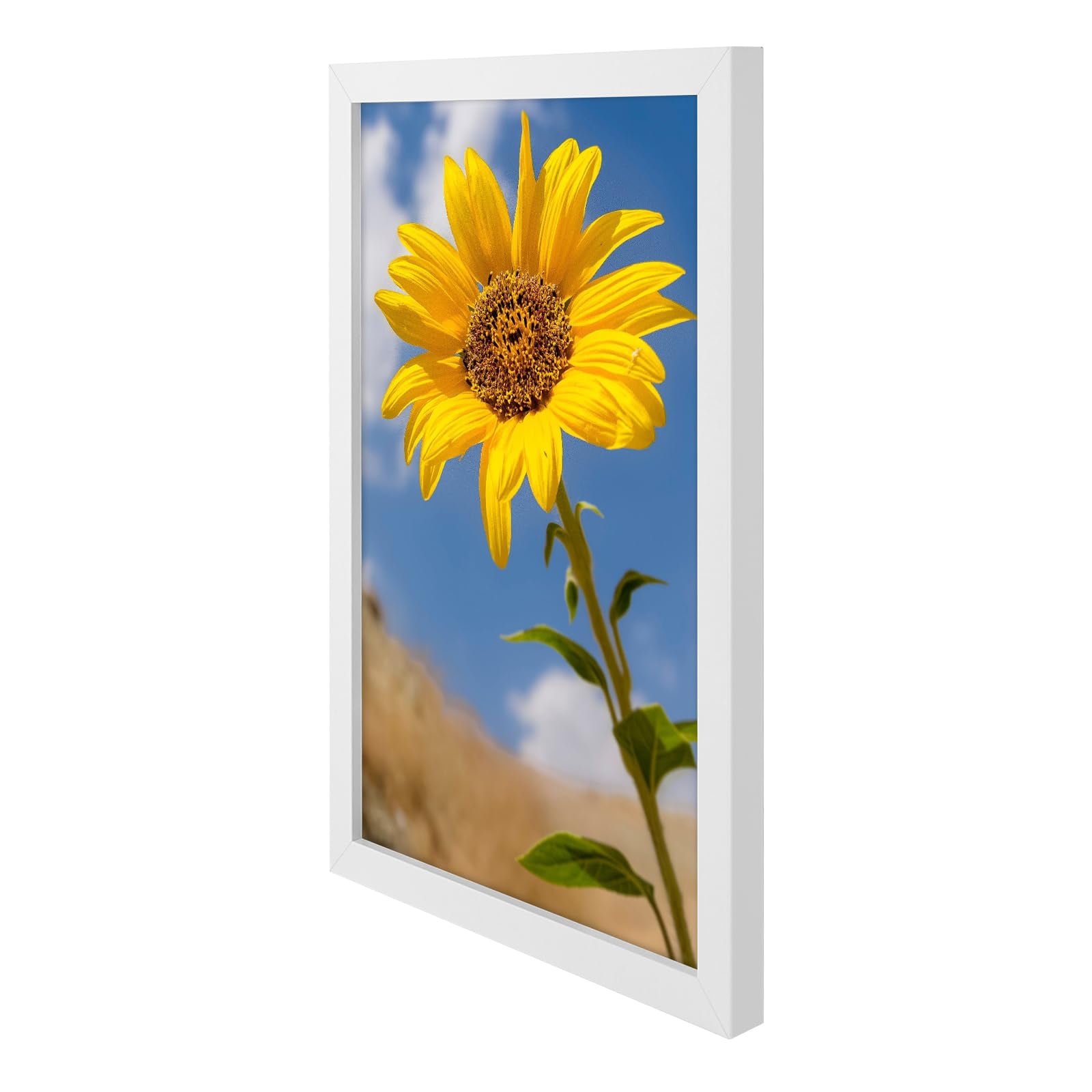 Golden State Art A3 11.7x16.5 Inch Picture Frames with Plexiglass, White, Set of 2