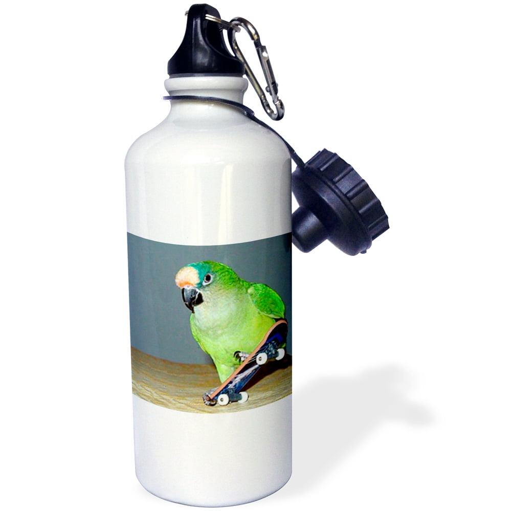 3dRose Skateboard Conure, Sports Water Bottle, 21oz by 3dRose
