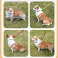 thumbnail image 4 of Dog Walking Leash Slip Rope Lead Leash Heavy Duty Braided Rope Adjustable Loop Collar Training Leashes for Large Dogs, 4 of 4