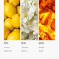 thumbnail image 4 of Aceite difusor Aroma360 Hotel Collection Cabana 500 ml, 4 of 7