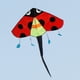 thumbnail image 2 of Ladybug Delta Kite Fly Kite con cola Fácil de volar Manga de viento Enorme Envergadura Gigante de una sola línea para jardín Juguete Viajes familiares Baoblaze cometa triangulo, 2 of 8