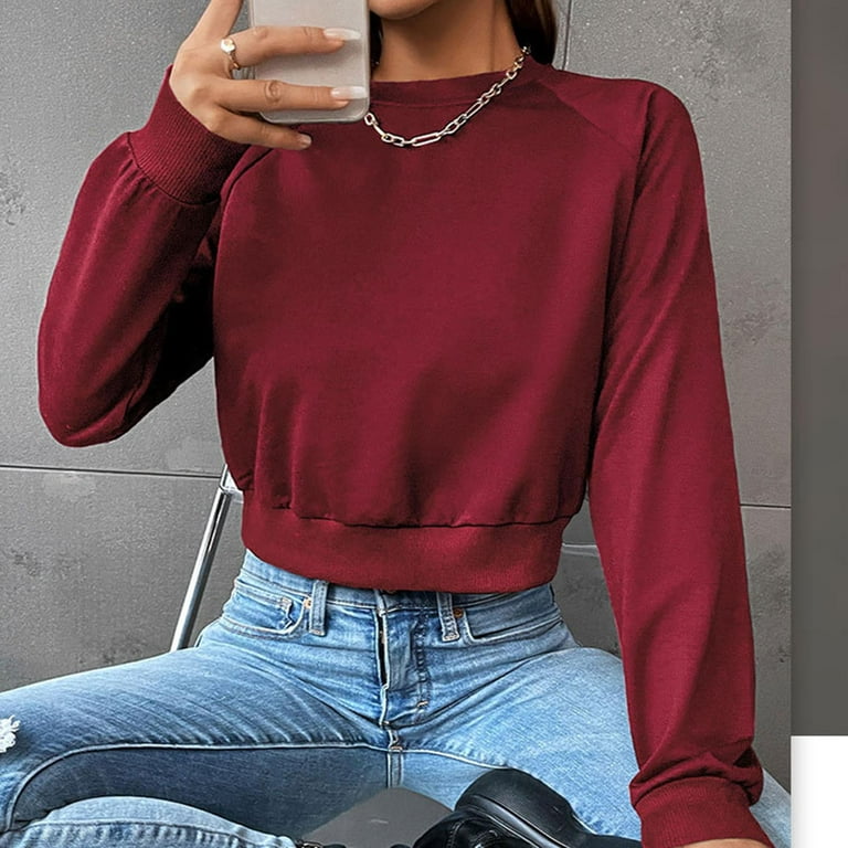 Efsteb Cute Long Sleeve Tops for Women Comfy Soft Tunic Tops Loose  Lightweight Shirts Round Neck Classic Solid Color Tops Casual Trendy Wine M