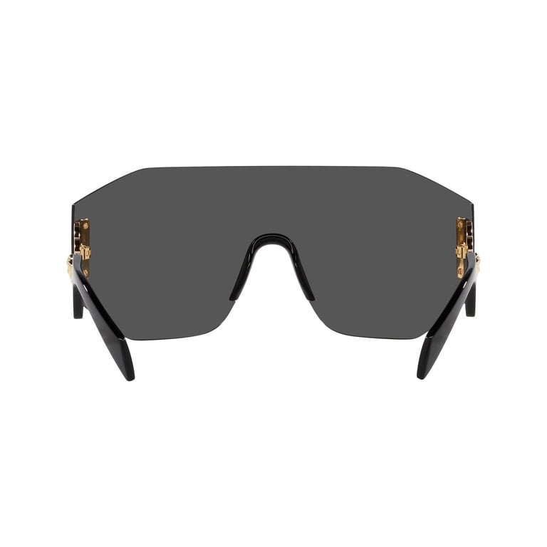 Versace Unisex Sunglasses 2258 1002/87, Black Gold, Dark  display picture 2