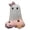 D, variant on ZhangC Halloween Ghost Walking Dog Statue Nightlight Figurine with Leashed Puppy Warm LED Lighted Spooky Indoor Outdoor Decor
