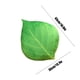 thumbnail image 3 of Simulation Leaf Pillow Double-sided Printing Shaped Living Room Sofa Decoration Home Pillow Cushion, 3 of 6